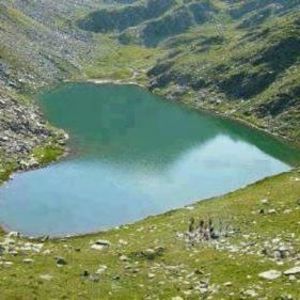 Meet your Posher, Carole